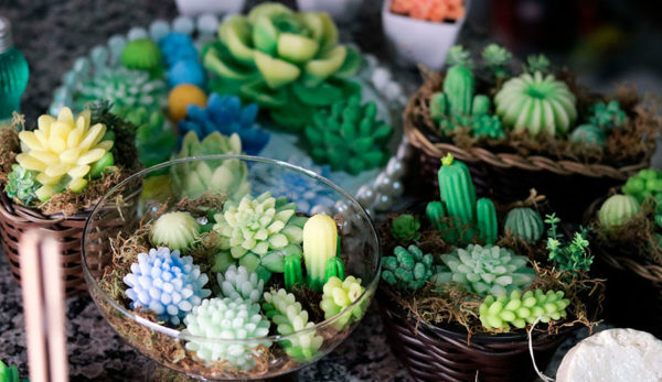 Sabonetes Artesanais de Suculentas